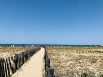 Scenic view of sea against clear sky