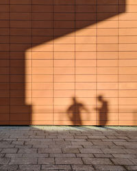 Shadow of person walking on footpath