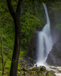 Scenic view of waterfall in forest