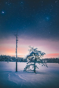 Trees on snow covered field against sky at night