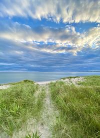 Scenic view of beach path at chatham, cape cod 