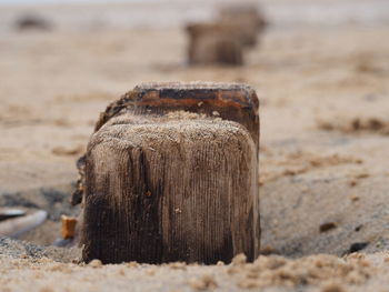 Close-up of old wooden post on beach