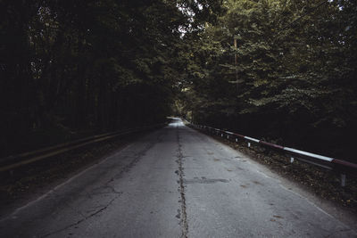 Empty road amidst trees in forest