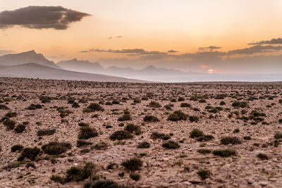 Scenic view of landscape against sky during sunset