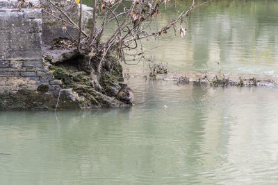 View of drinking water from lake
