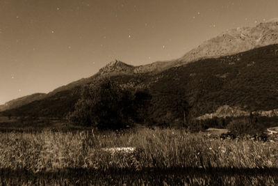 Scenic view of field against clear sky at night