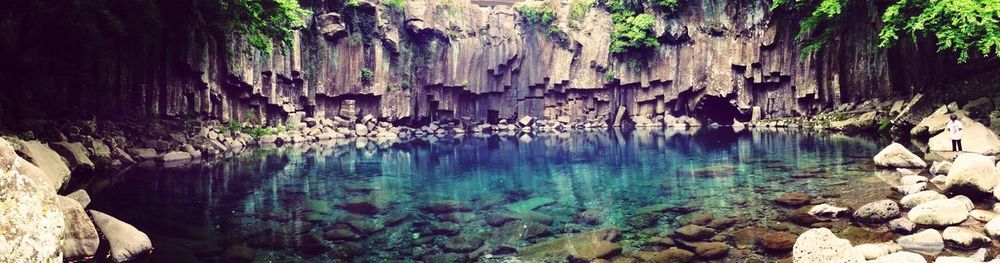 Scenic view of rocks in forest