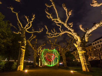 Light paintings amidst bare trees at night