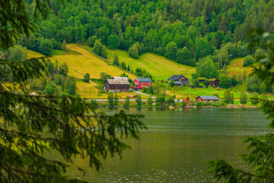 Scenic view of river by trees and houses