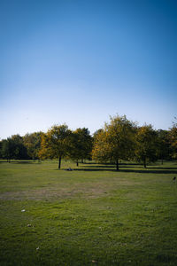 Trees on field against clear sky