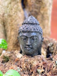 Close-up of statue against tree