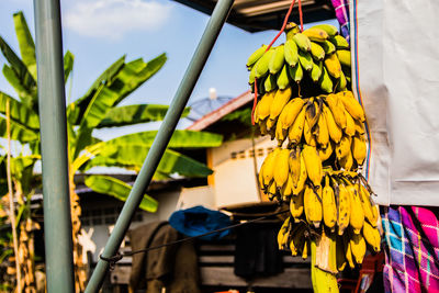 Close-up of bananas for sale