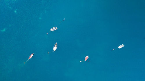 High angle view of people swimming in sea