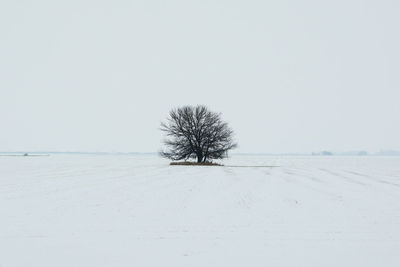 Bare tree on snowy field against sky during winter