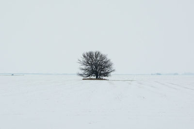 Bare tree on snowy field against sky during winter
