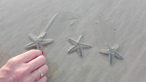 Close-up of hand holding sand on beach