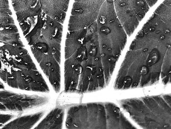 Full frame shot of surface