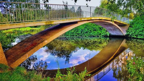Reflection of trees in river against sky