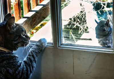 window