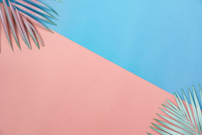 Low angle view of palm tree against blue sky