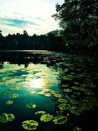 Scenic view of lake against sky