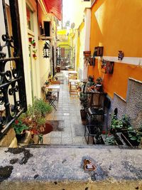 Narrow alley amidst buildings in city