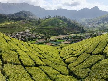 Scenic view of agricultural field against mountains