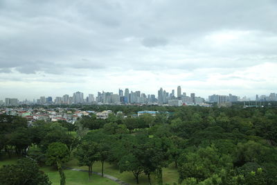 Trees and buildings in city against sky