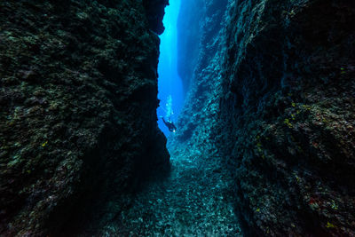 Person swimming in sea