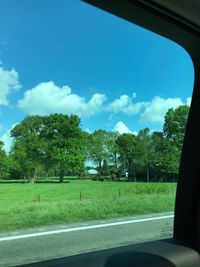 Road by trees against sky