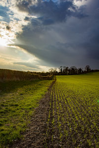 Scenic view of field against cloudy sky