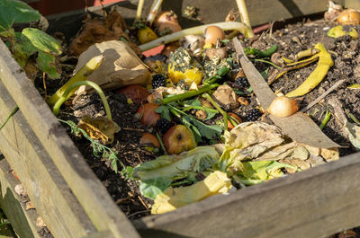 High angle view of fruits and plants on field