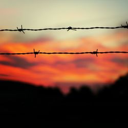 Silhouette of barbed wire at sunset