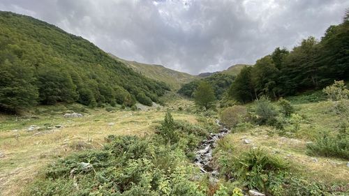 Scenic view of landscape against sky