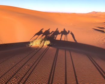 Scenic view of desert against sky during sunset