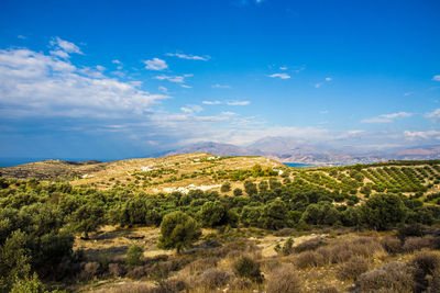 Scenic view of landscape against blue sky