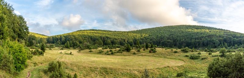 Panoramic shot of trees on field against sky