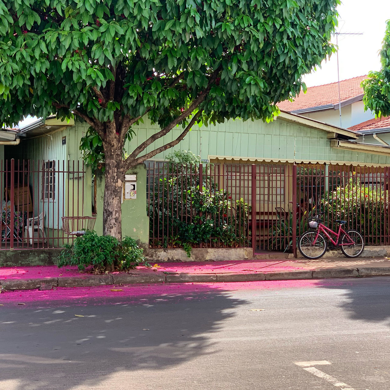 STREET BY TREE AND BUILDINGS AGAINST HOUSES