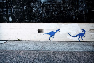 View of birds on sidewalk