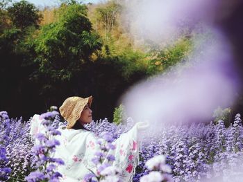 High angle view of butterfly on purple flower