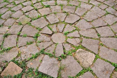 Full frame shot of cracked paving stone