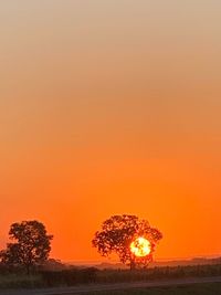 Illuminated tree on field against romantic sky at sunset