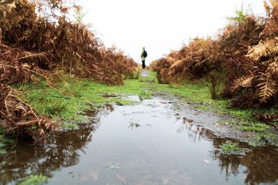 Reflection of trees in puddle against sky