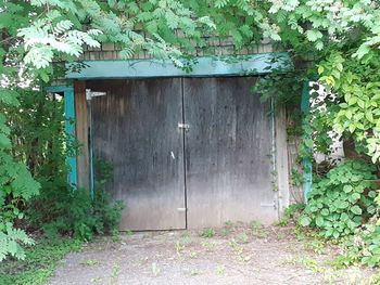 Closed door of building