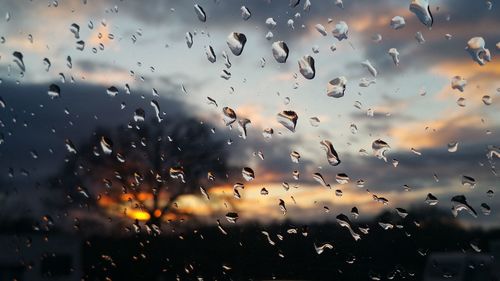 Trees against cloudy sky during sunset seen through wet window