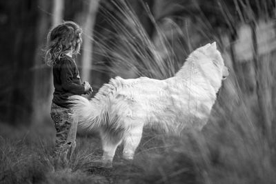 Horse standing on field