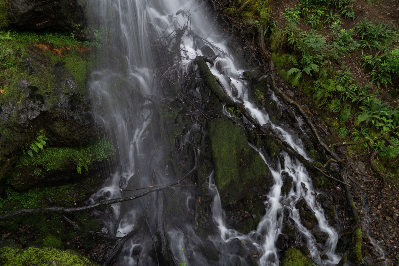 WATERFALL IN FOREST