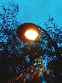 Low angle view of illuminated tree against orange sky