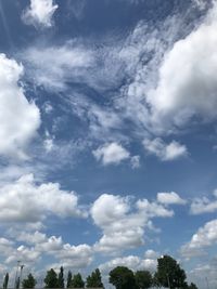 Low angle view of trees against sky