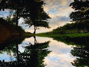 Reflection of trees in lake against sky